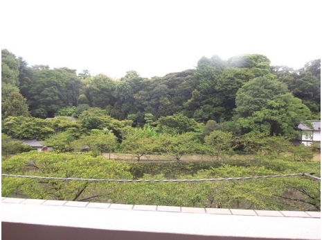 コンシェリア早稲田Ｇｒｅｅｎ　Ｆｏｒｅｓｔ